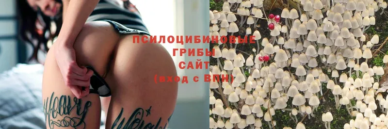 Псилоцибиновые грибы MAGIC MUSHROOMS  Тулун 